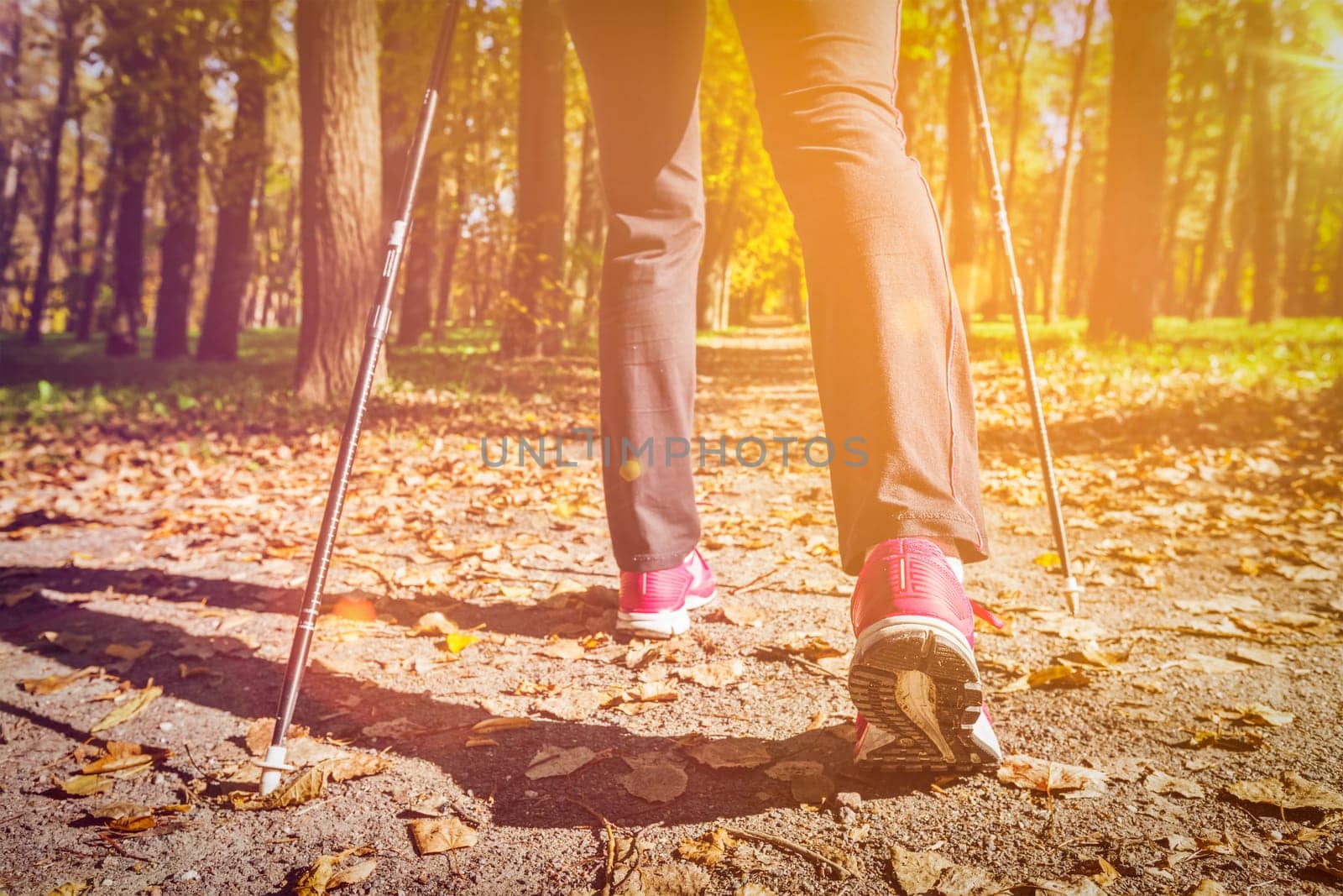 Nordic walking: adventure and exercising concept - woman hiking, legs and nordic walking poles in autumn nature. With flare and light leak