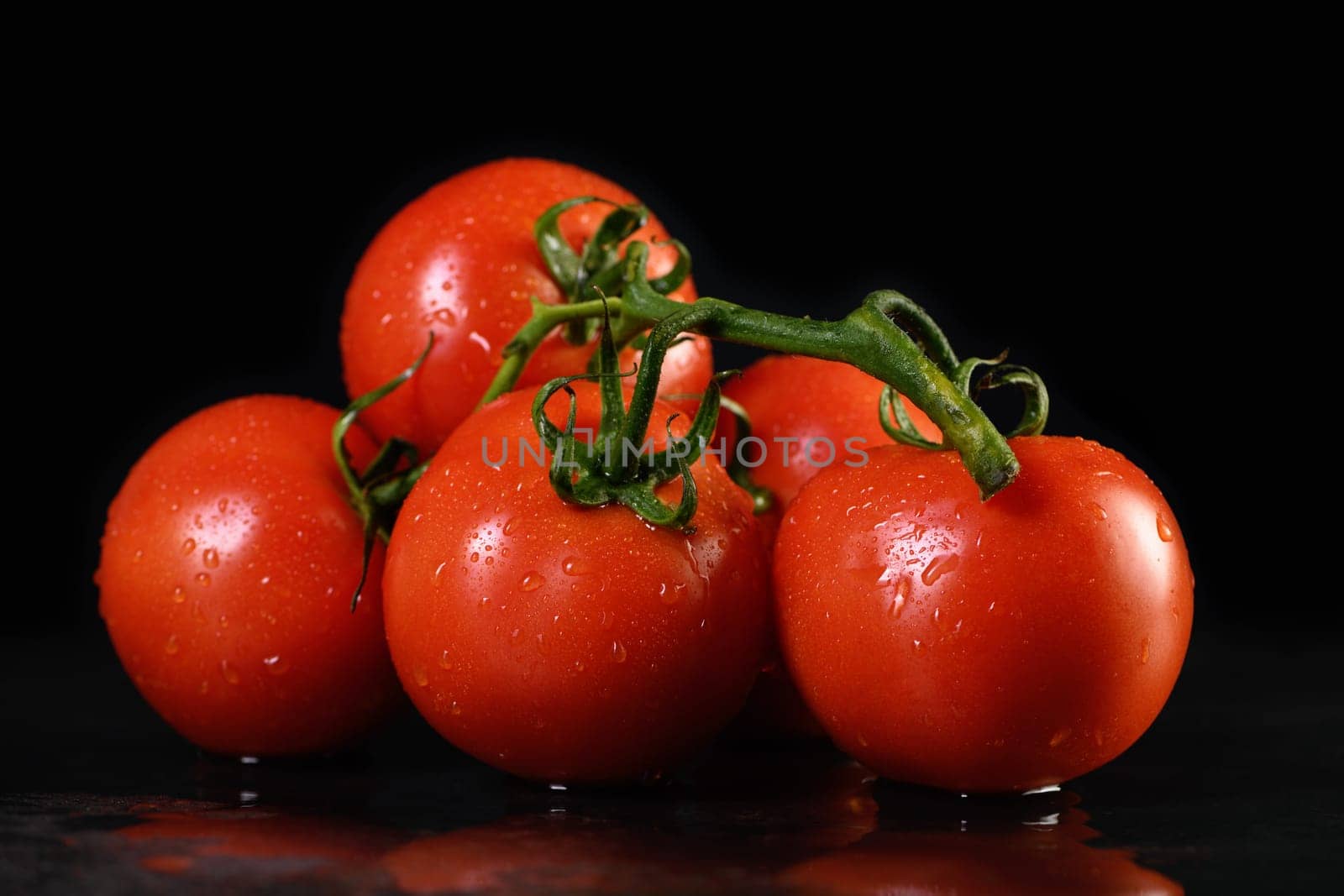 Fresh ripe red tomatoes branch by Apolonia