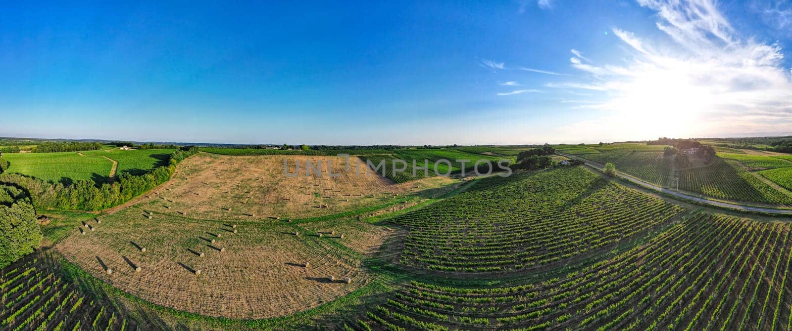 Aerial view Bordeaux Vineyard and forage fields with bales of hay in summer at sunrise by FreeProd