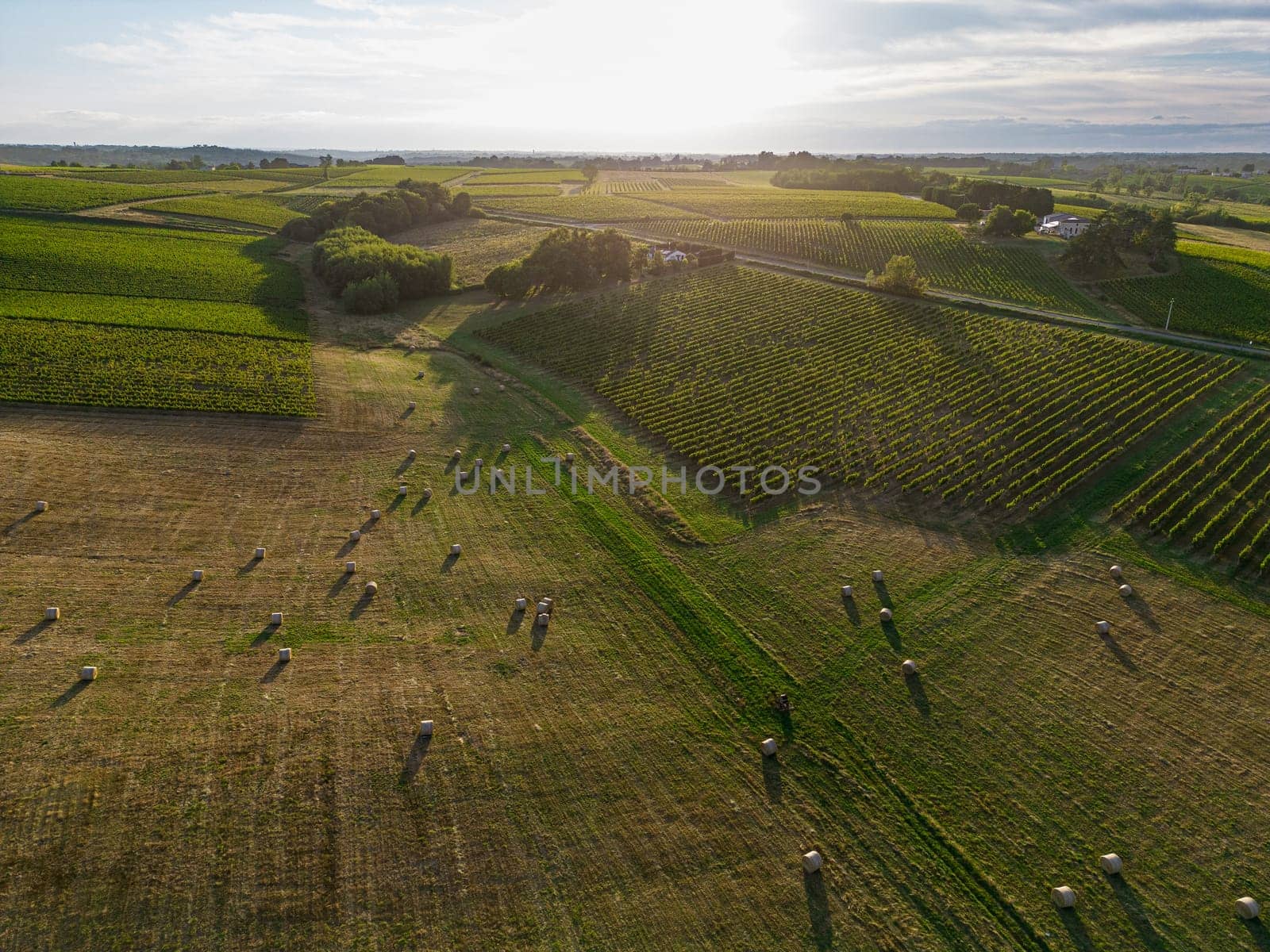 Aerial view Bordeaux Vineyard and forage fields with bales of hay in summer at sunrise, film by drone in summer, Entre deux mers, High quality photo