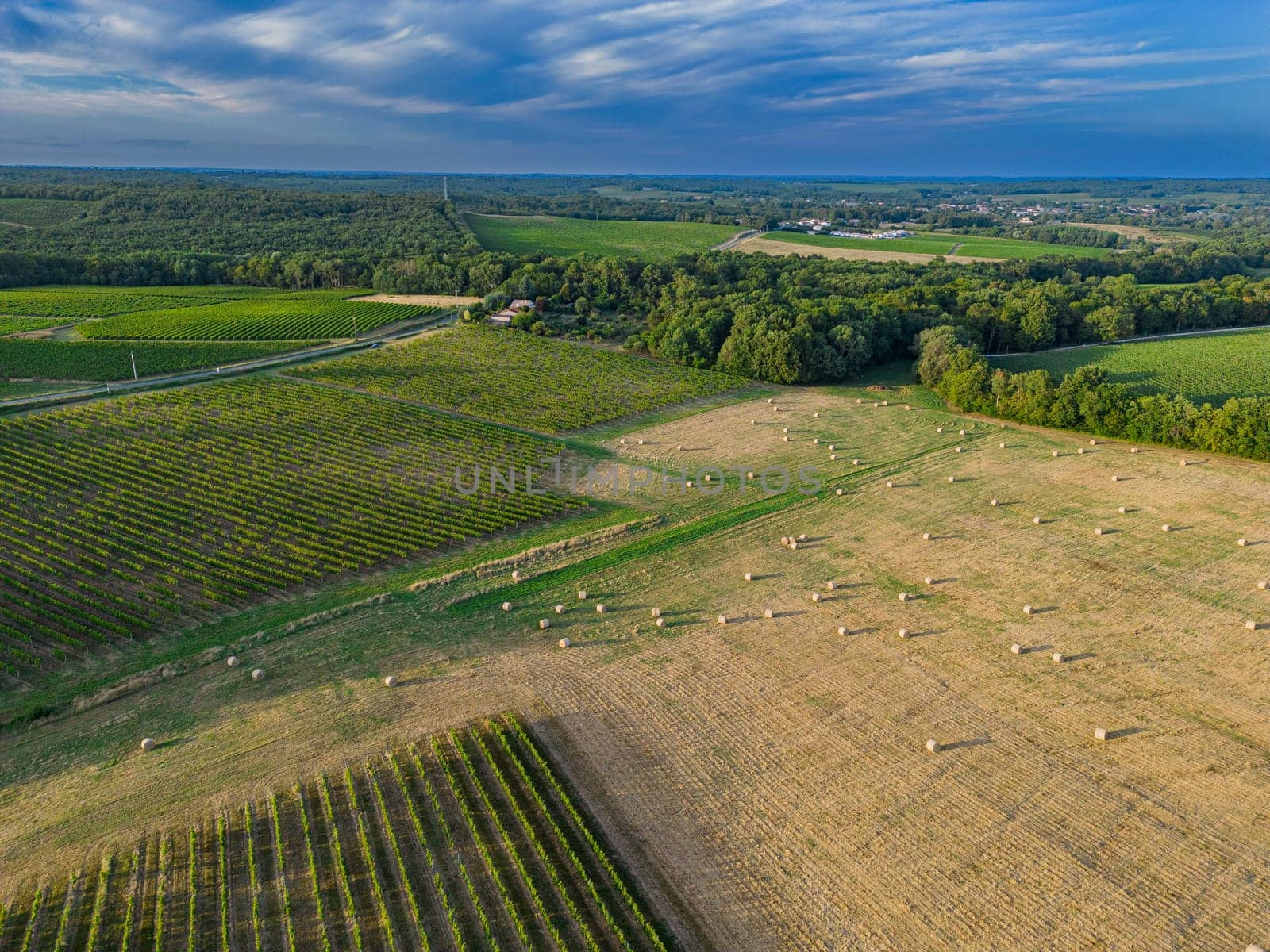 Aerial view Bordeaux Vineyard and forage fields with bales of hay in summer at sunrise, film by drone in summer, Entre deux mers, High quality photo