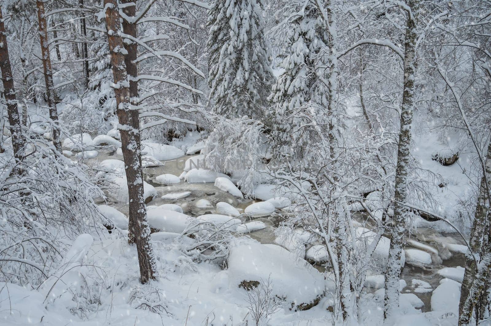 Winter landscape with fair trees under the snow.