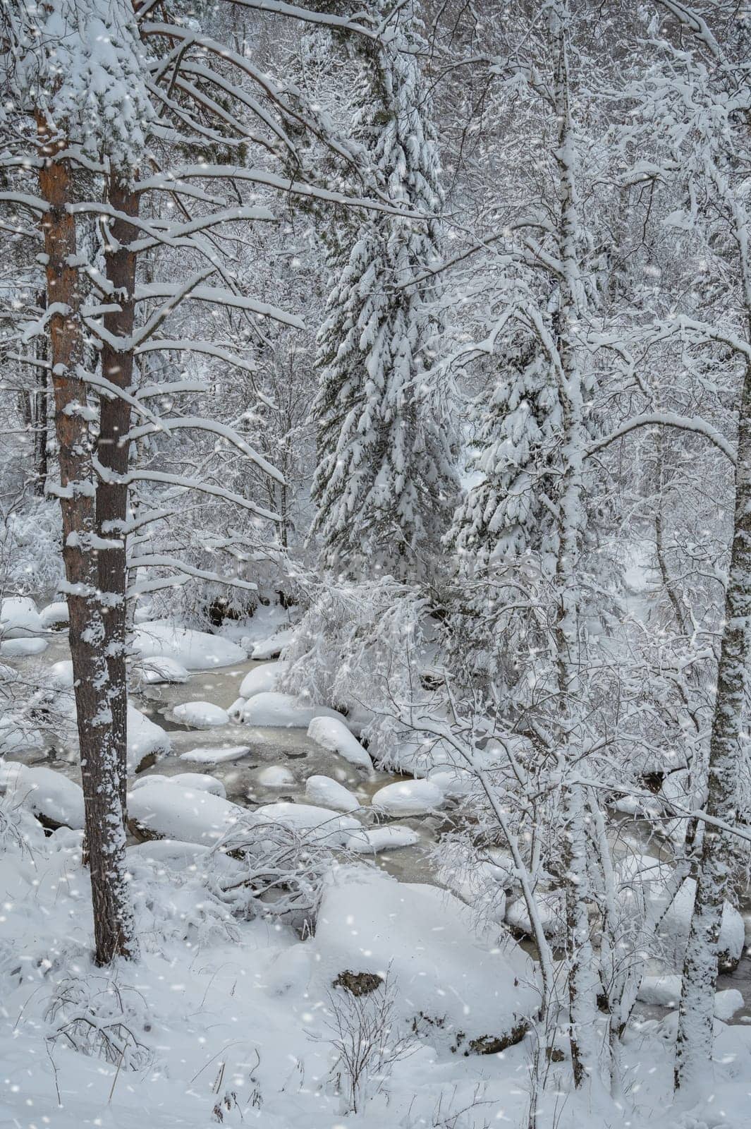 Winter landscape with fair trees under the snow.