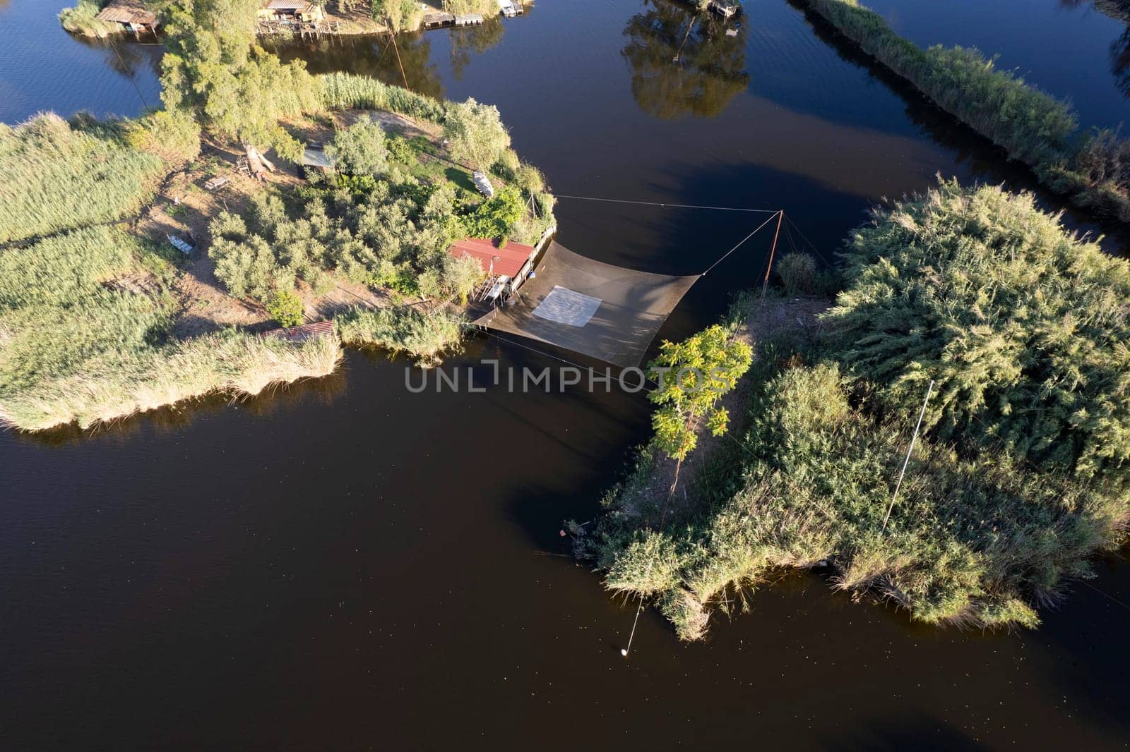 Aerial view of the details of Lake Massaciuccoli  by fotografiche.eu