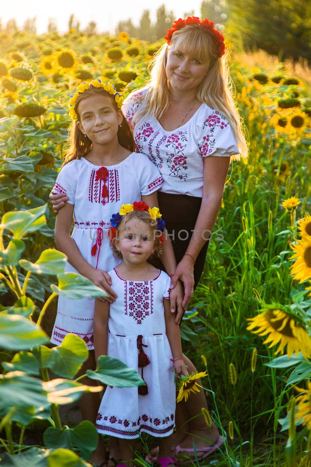 Family Ukraine in the field of sunflowers. Selective focus. Nature.