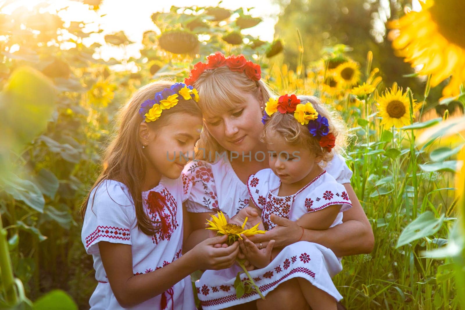 Family Ukraine in the field of sunflowers. Selective focus. by yanadjana
