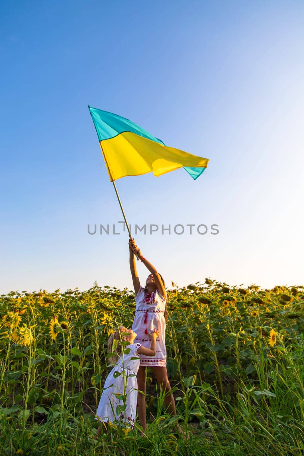 Child with the flag of Ukraine. Selective focus. Nature.