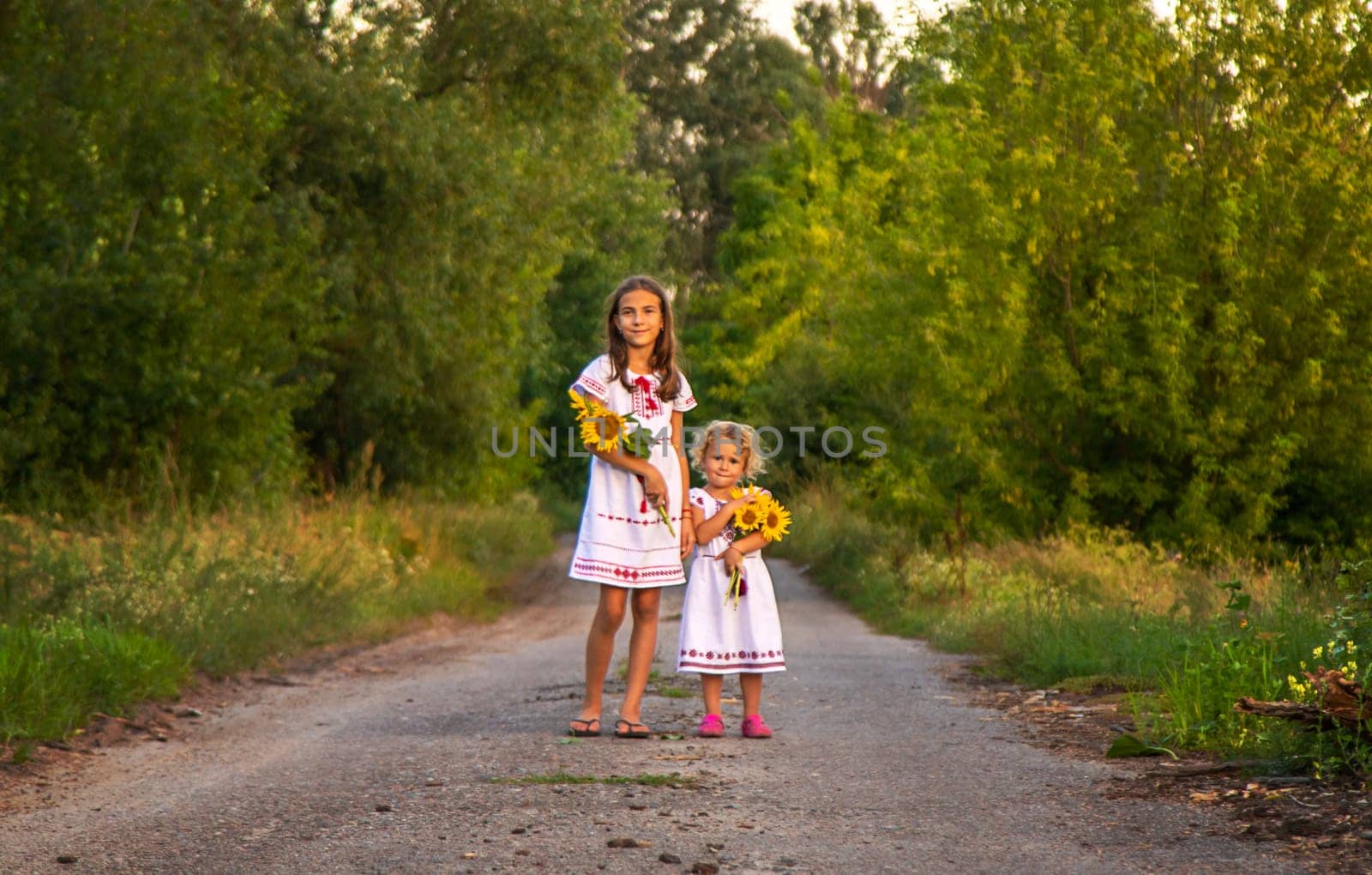 A child in a field of sunflowers Ukraine. Selective focus. Nature.