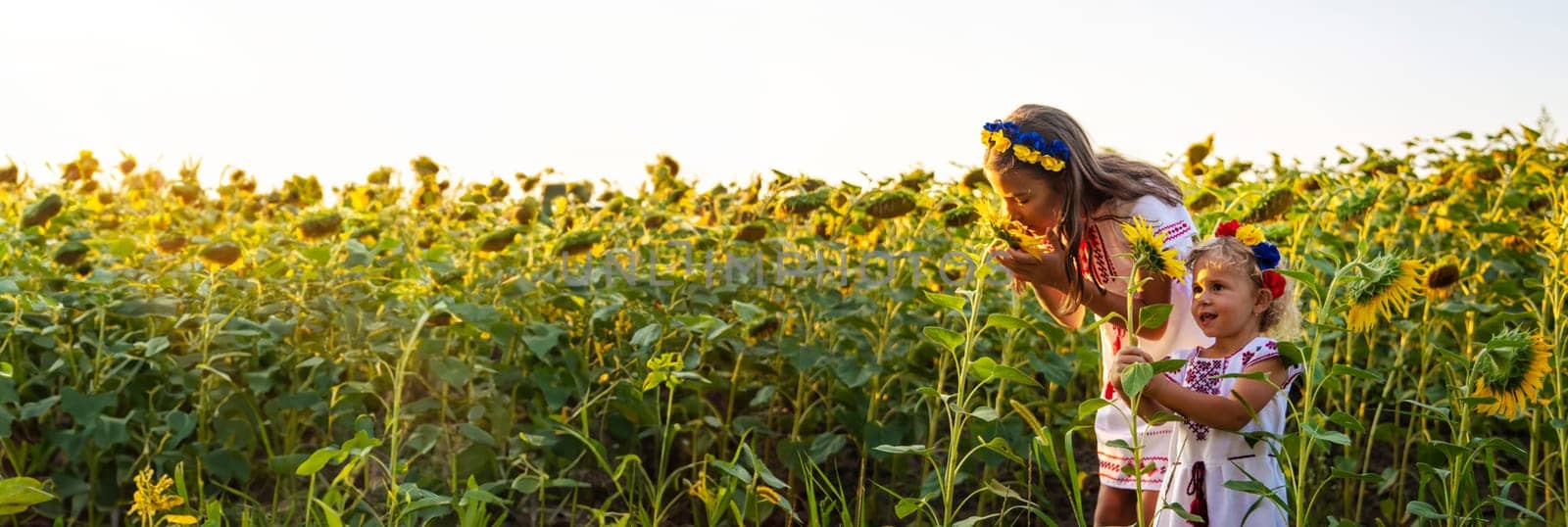 A child in a field of sunflowers Ukraine. Selective focus. by yanadjana