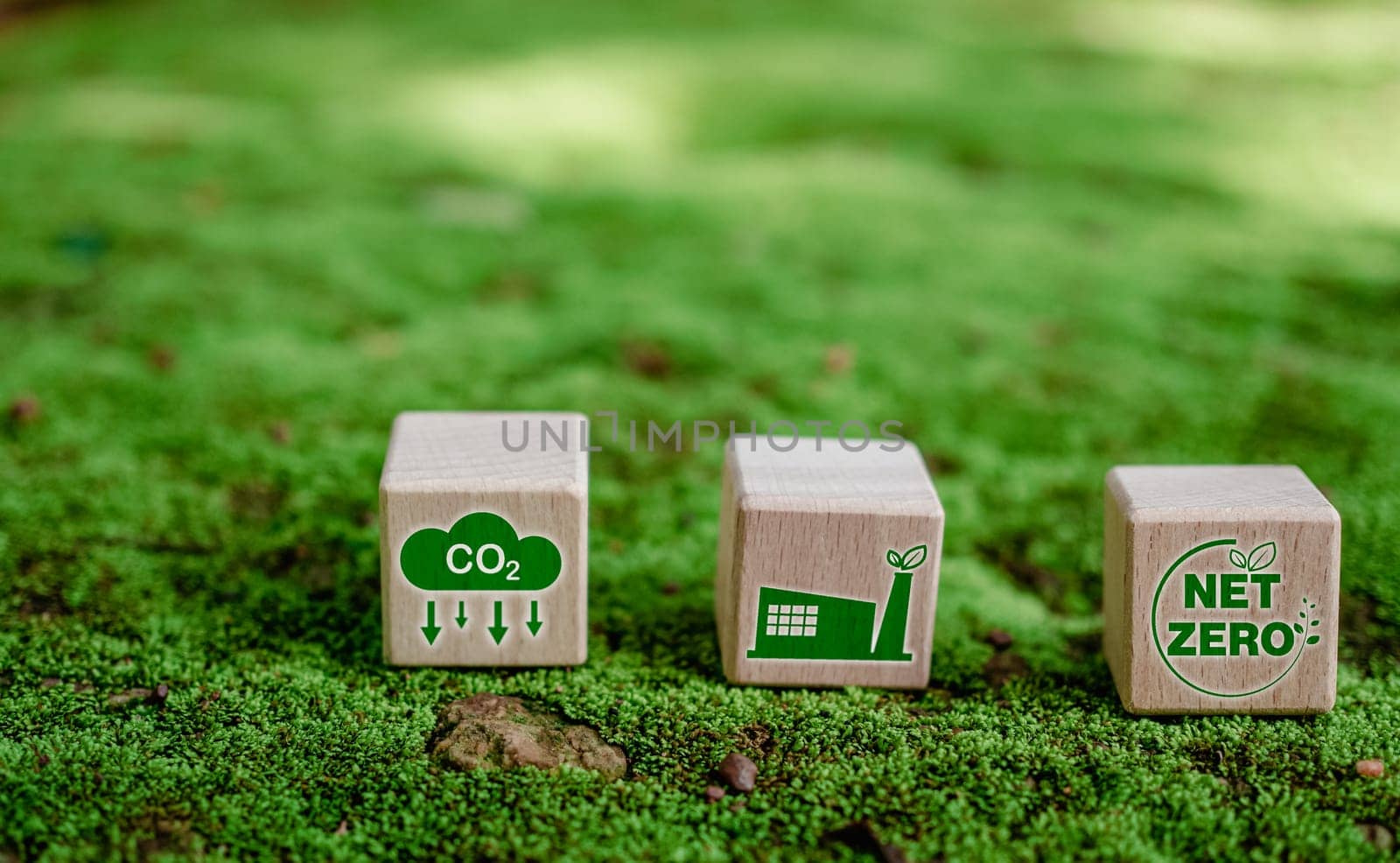 CO2 emission reduction concept, clean and friendly environment without carbon dioxide emissions. Planting trees to reduce CO2 emissions, environmental protection concept. by Unimages2527