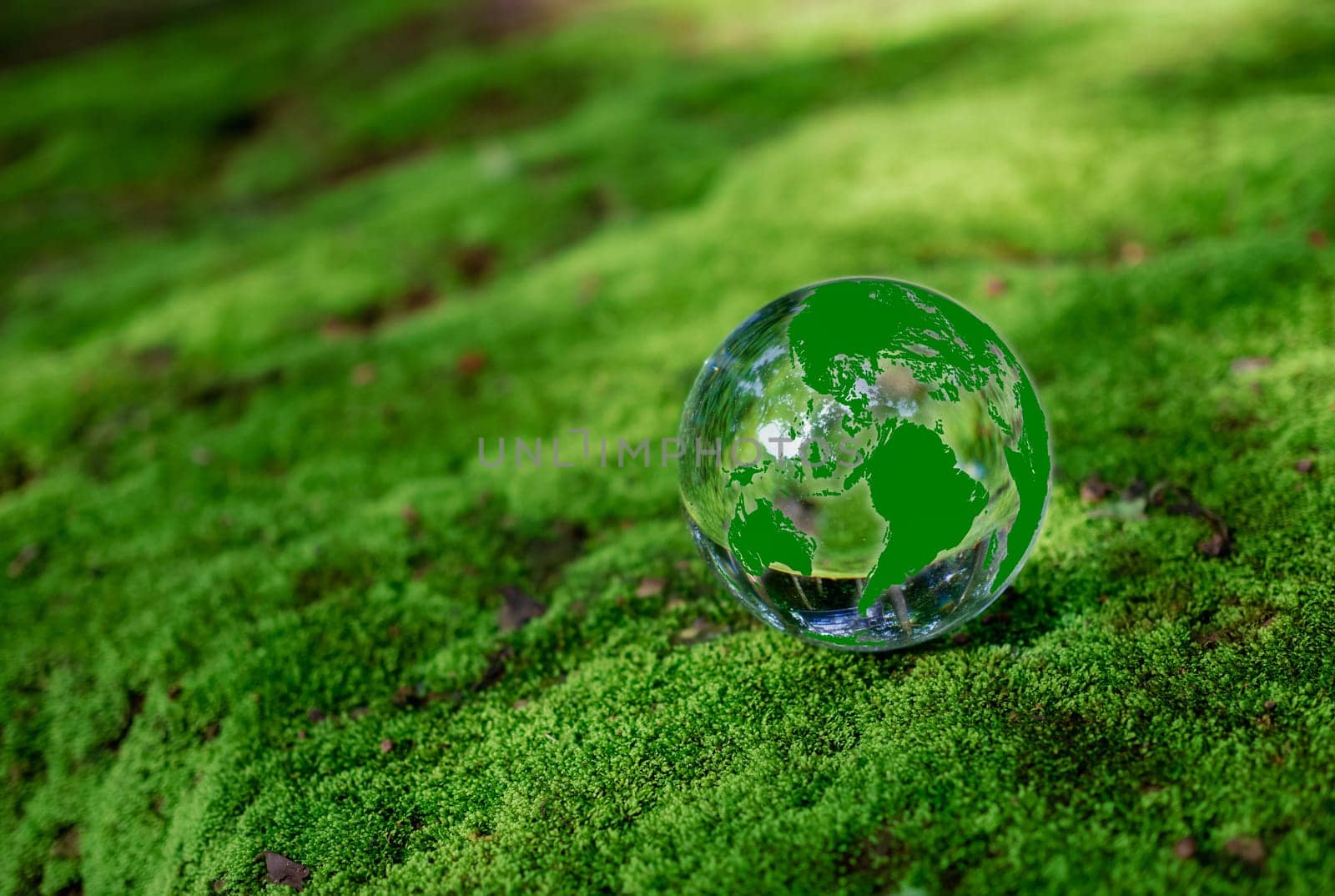 Crystal ball on moss in green forest. Environment concept Ecology and Sustainable Environment of the World. Earth day concept. by Unimages2527