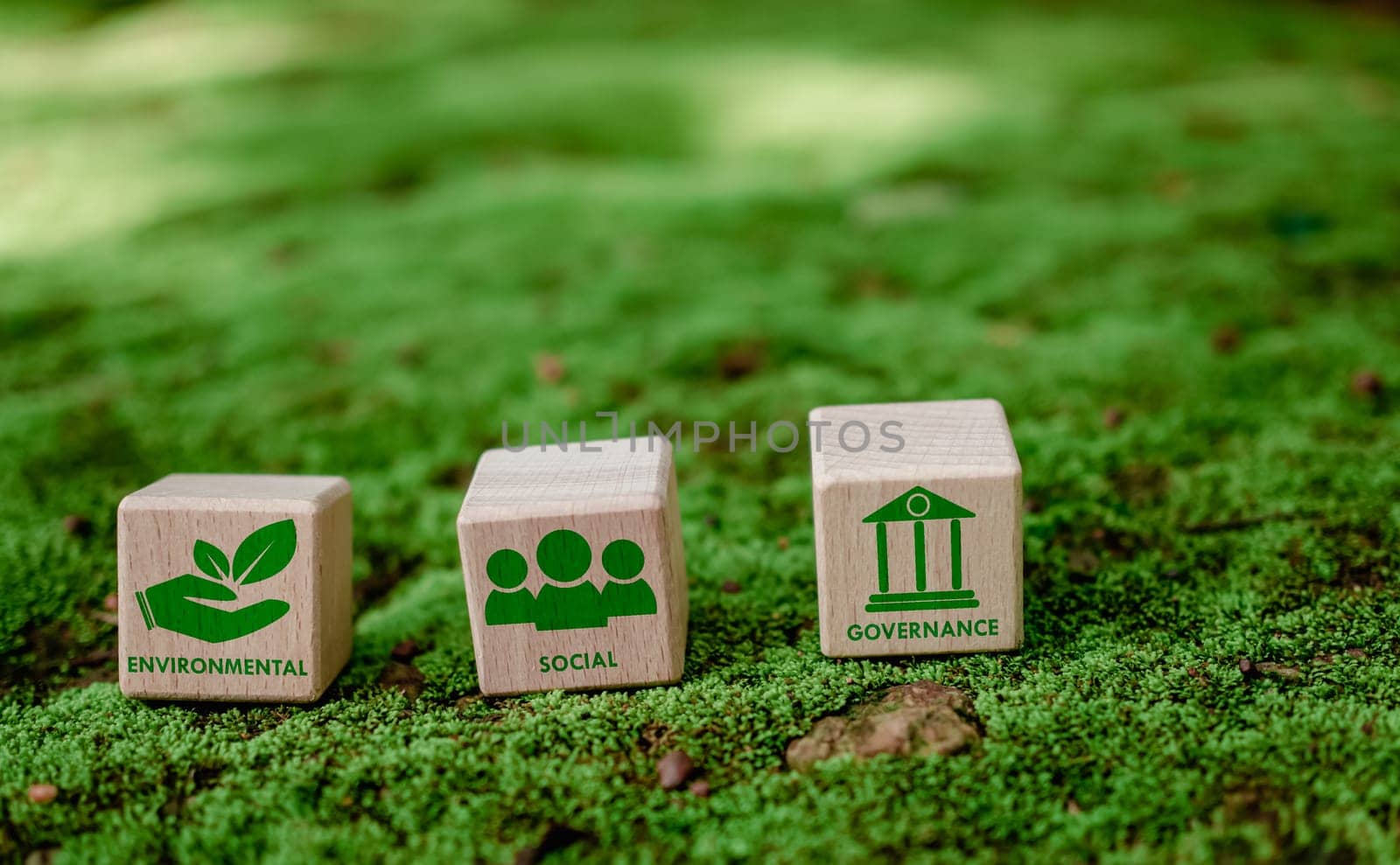 ESG concept for environment, society and governance in sustainable. business responsible environmental. by Unimages2527