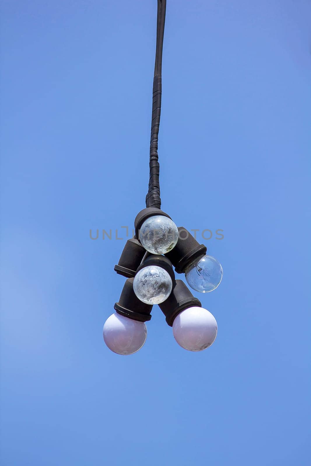 Many bulbs hang with a sky background.