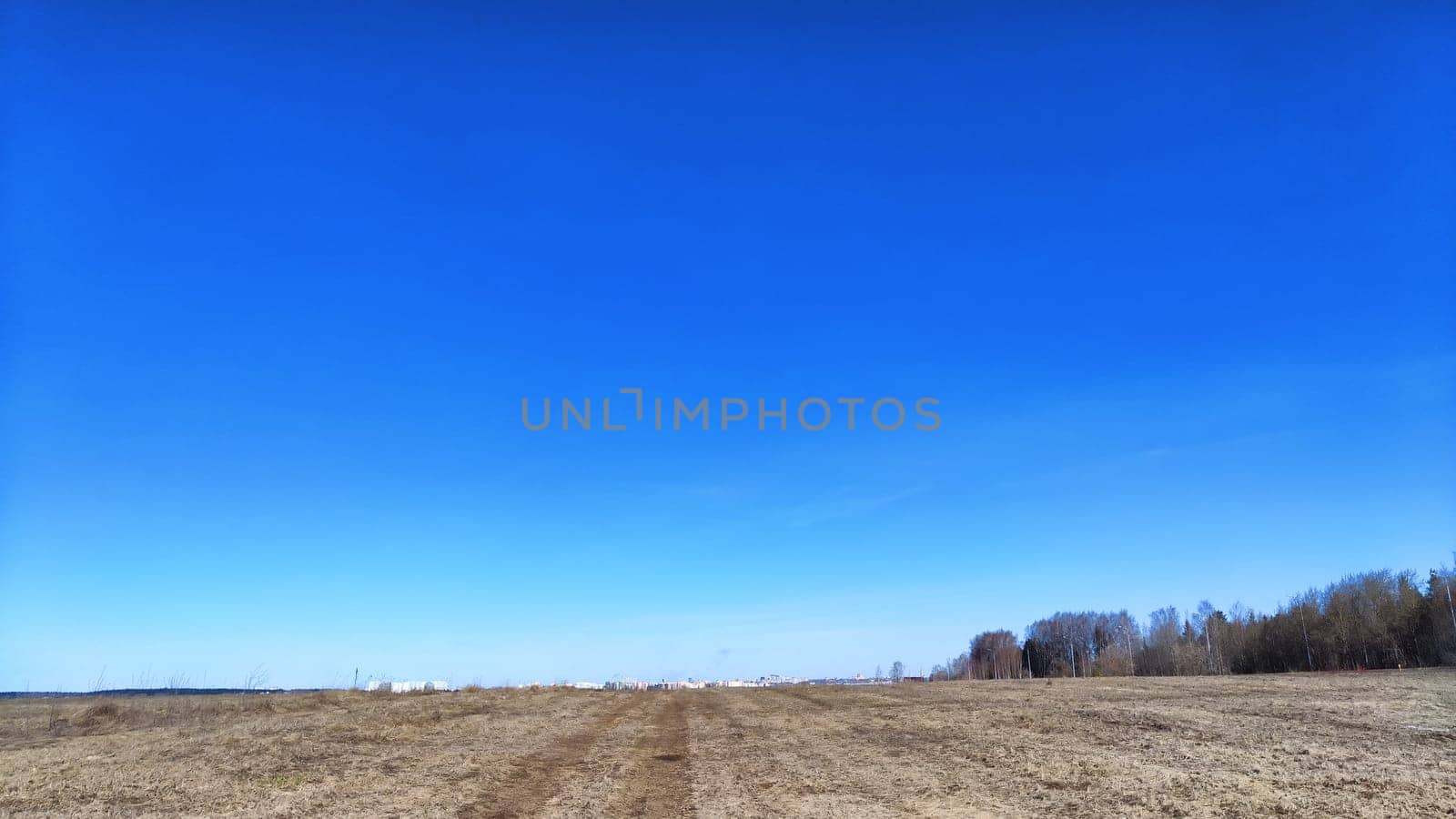 Spring or autumn landscape with Field full of last year's yellow grass and clean blue sky in beautiful sunny day. Forest with trees on the horizon at background