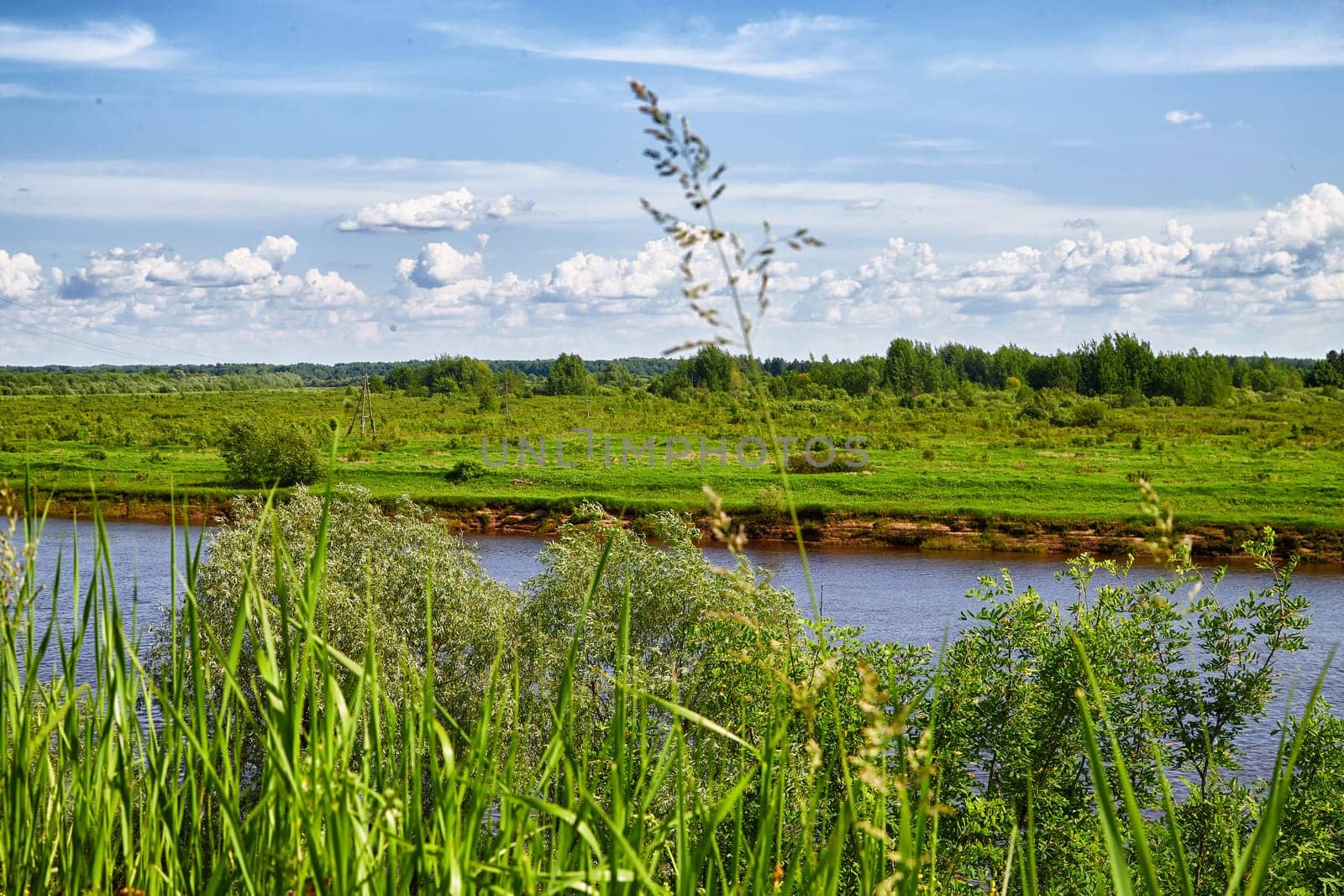 Beautiful landscape and nature with view of the river and the sky with clouds through trees from high place. Green trees in foreground, water and greenery in background. Background and copy space