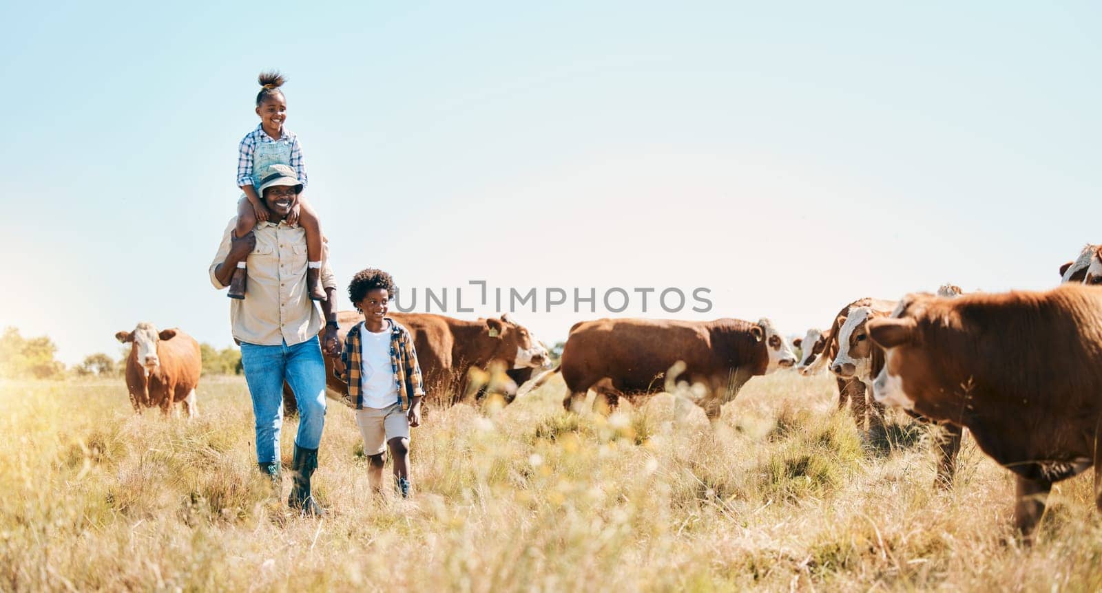 Cattle farm, father and children or family outdoor for travel, sustainability and holiday. Black man and kids walking on a field for farmer adventure in countryside with cows and banner in Africa by YuriArcurs