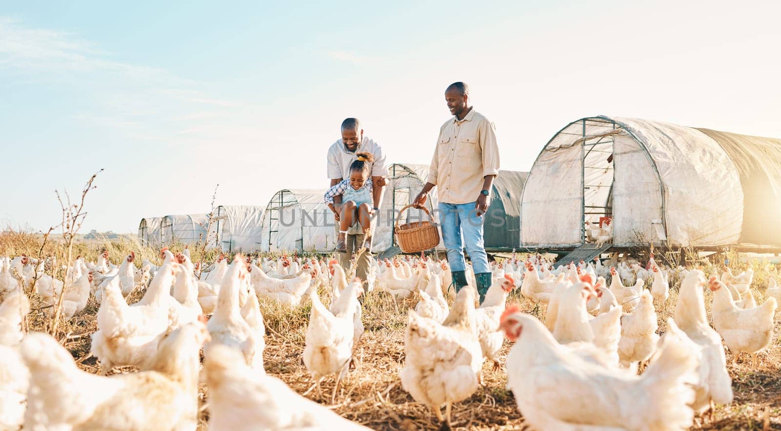 Agriculture, gay couple and chicken with black family on farm for happy, environment and bonding. Relax, lgbtq and love with men and child farmer on countryside field for eggs, care and animals.