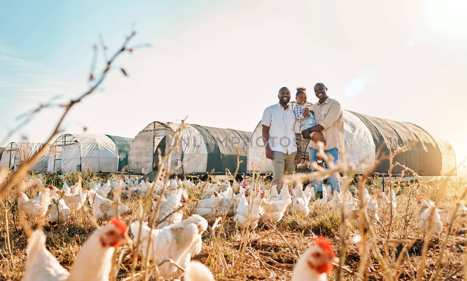Portrait, gay couple and chicken with black family on farm for agriculture, environment and bonding. Relax, happy and love with men and child farmer on countryside field for eggs, care and animals.