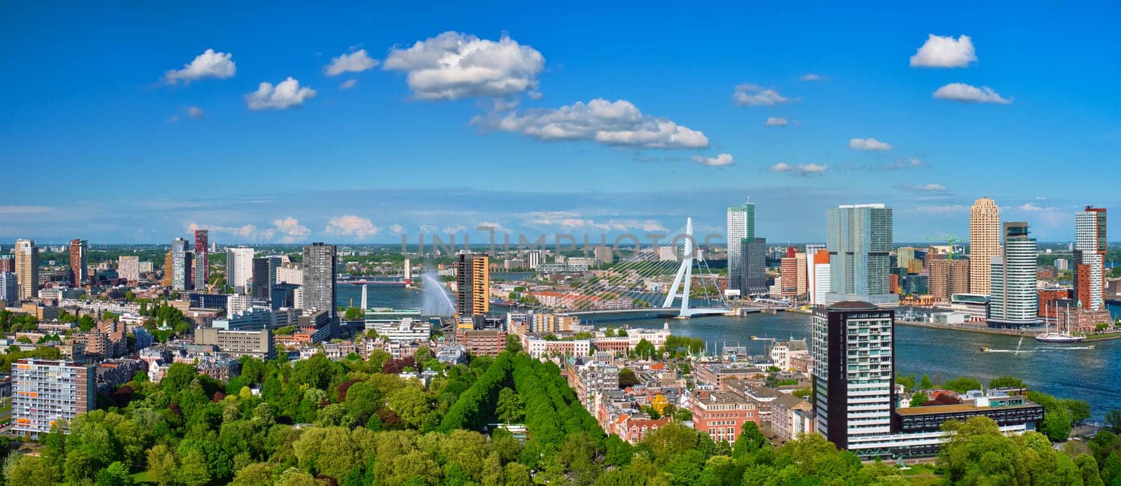 View of Rotterdam city and the Erasmus bridge by dimol