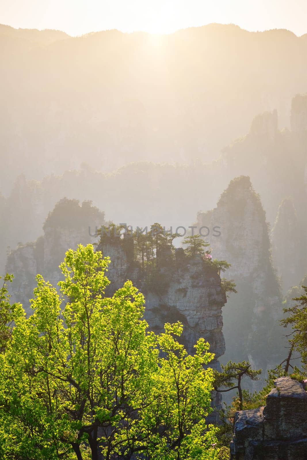 Famous tourist attraction of China - Zhangjiajie stone pillars cliff mountains on sunset at Wulingyuan, Hunan, China