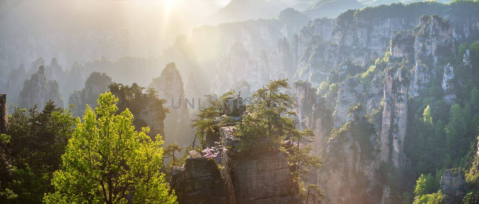 Famous tourist attraction of China - panorama of Zhangjiajie stone pillars cliff mountains on sunset at Wulingyuan, Hunan, China