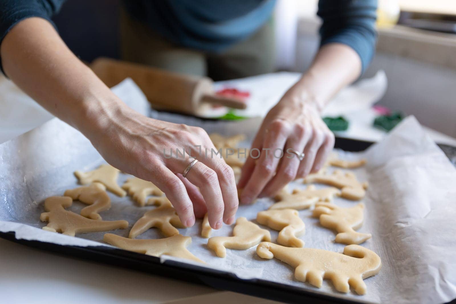 Baking cookies - a woman lays out raw dough in the shape of dinosaurs on a baking sheet. Mid shot