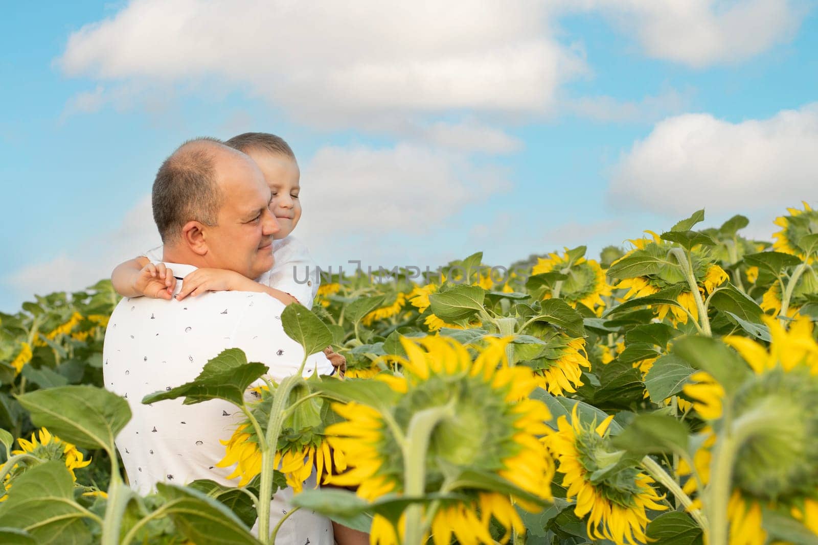 Father's day concept. A little boy in his father's arms, in white clothes, gently hugs and cuddles, against the blue sky, in a field with yellow sunflowers. A symbol of peace. Symbol of Ukraine. Close-up. copy space.