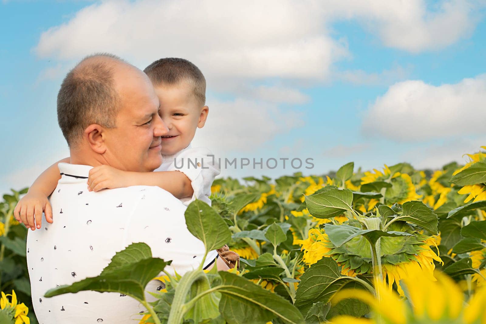 Father's day concept. A little boy in his father's arms gently hugs and cuddles, standing in a field with yellow sunflowers against the background of a blue sky. A symbol of peace. Symbol of Ukraine. by ketlit
