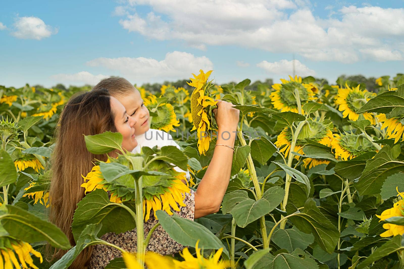 Family concept. A little boy in his mother's arms, gently hugging. Stand in a field with yellow sunflowers on a summer background. blue sky Peace symbol. Symbol of Ukraine.