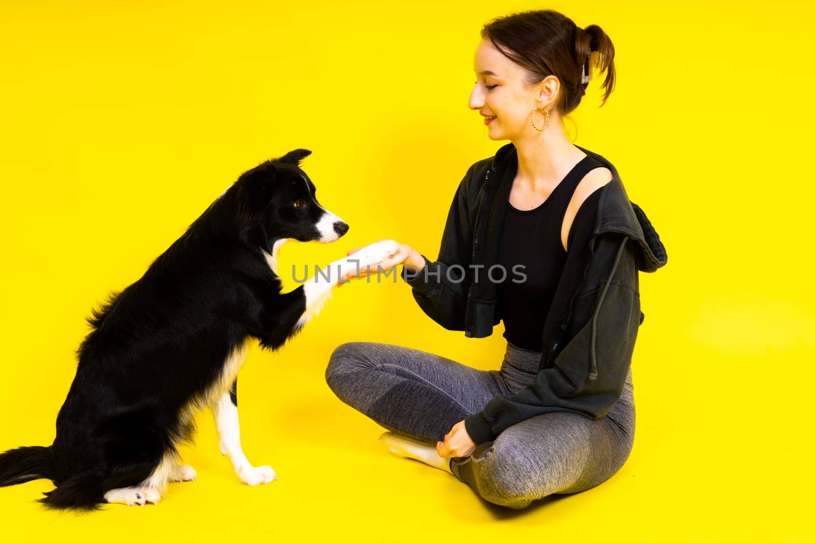 Puppy learning to obey. Dog training, owner giving prize to dog. Isolated background, border collie by Zelenin