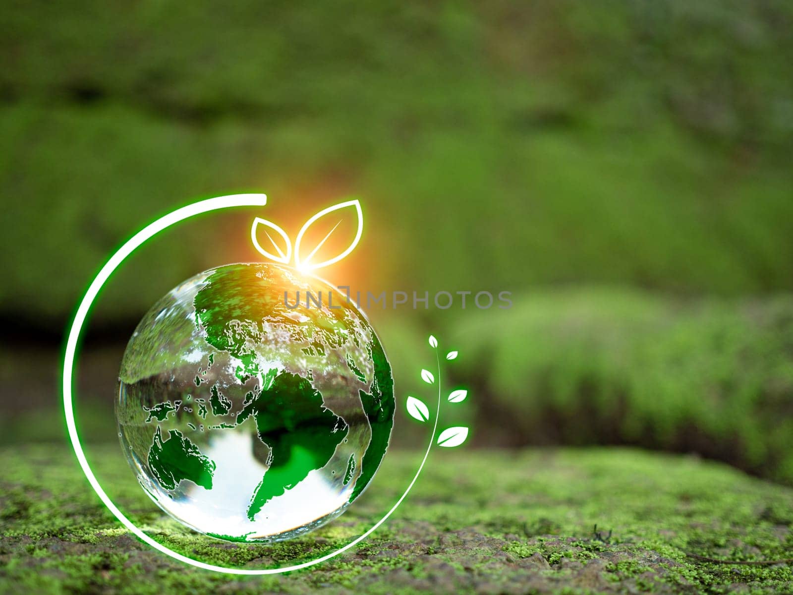 Crystal ball on moss in green forest. Environment concept Ecology and Sustainable Environment of the World. Earth day concept.