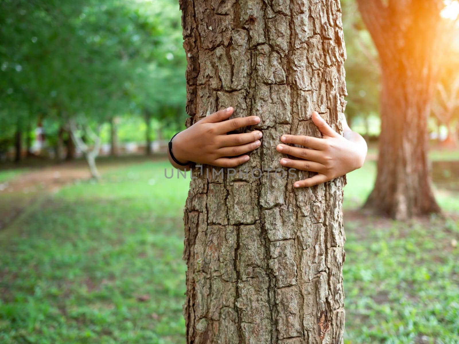 Human hands are hugging a tree in love. Representing helping to preserve the environment. Concept of saving the world.