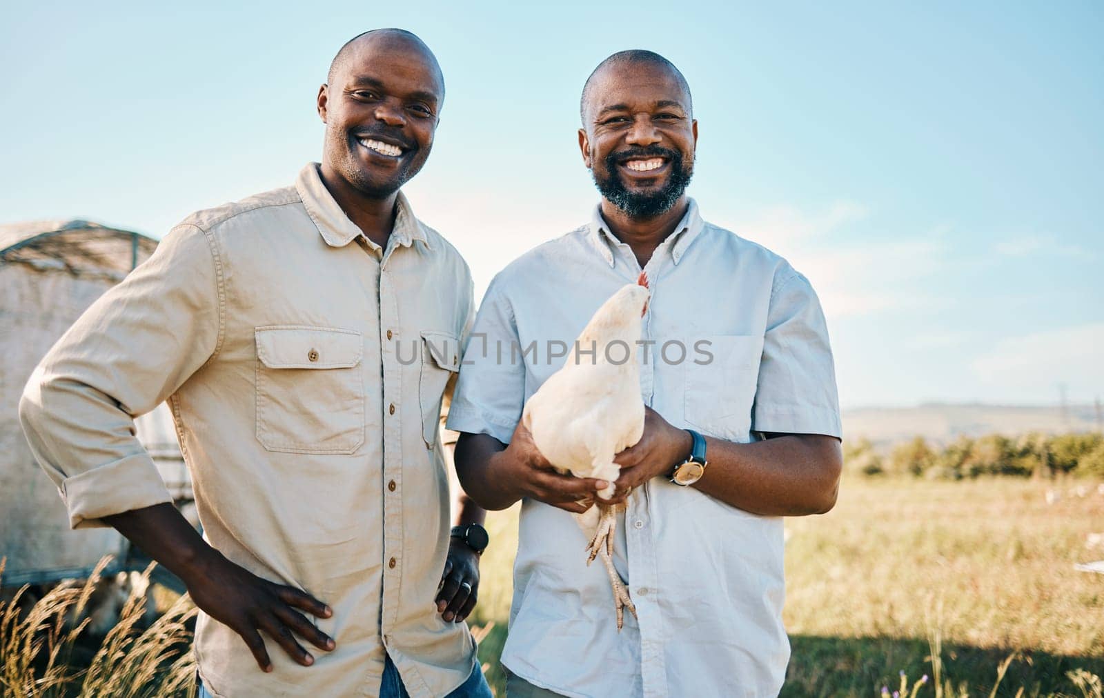 Portrait, chicken and a happy farmer team in the agriculture industry for sustainability or free range farming, Smile, poultry farm and a black man with his partner on a agricultural field in summer.