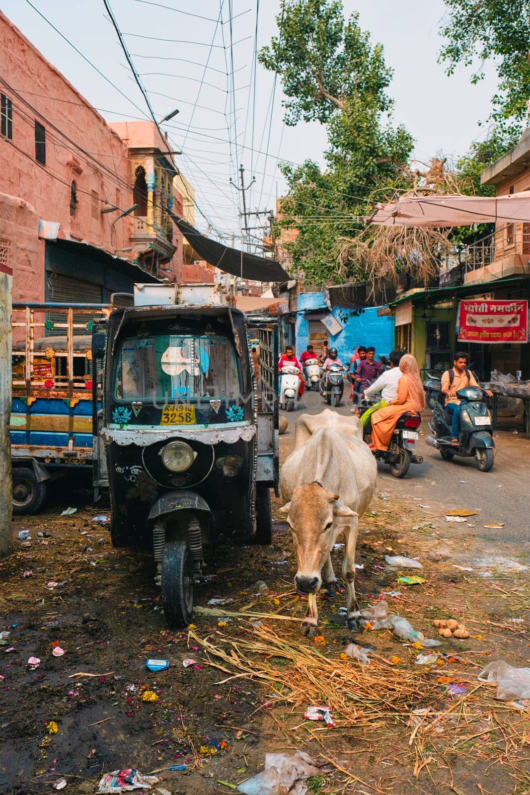Jodhpur, India - November 14, 2019: Indian street with auto rickshaw, motorcycles, cow and trash on ground. Motorcycle and auto rickshaw are very common transportation options in India.