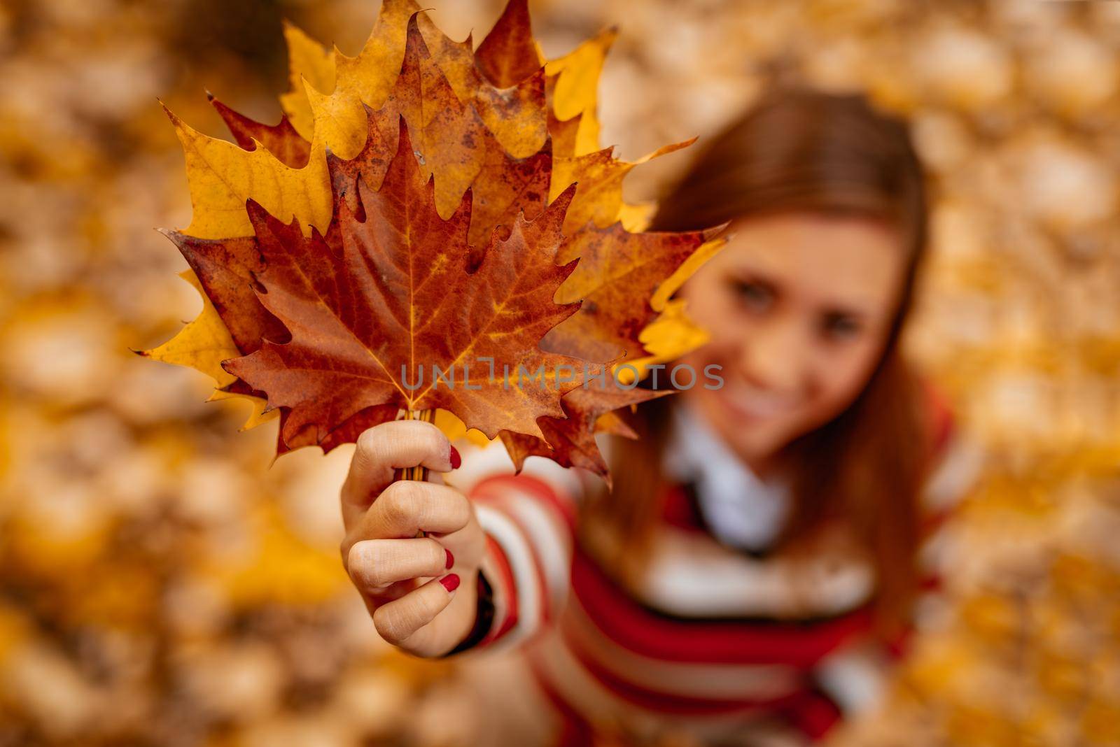 Cute young woman enjoying in sunny forest in autumn colors. She is holding golden yellow fallen leaves. Looking at camera.