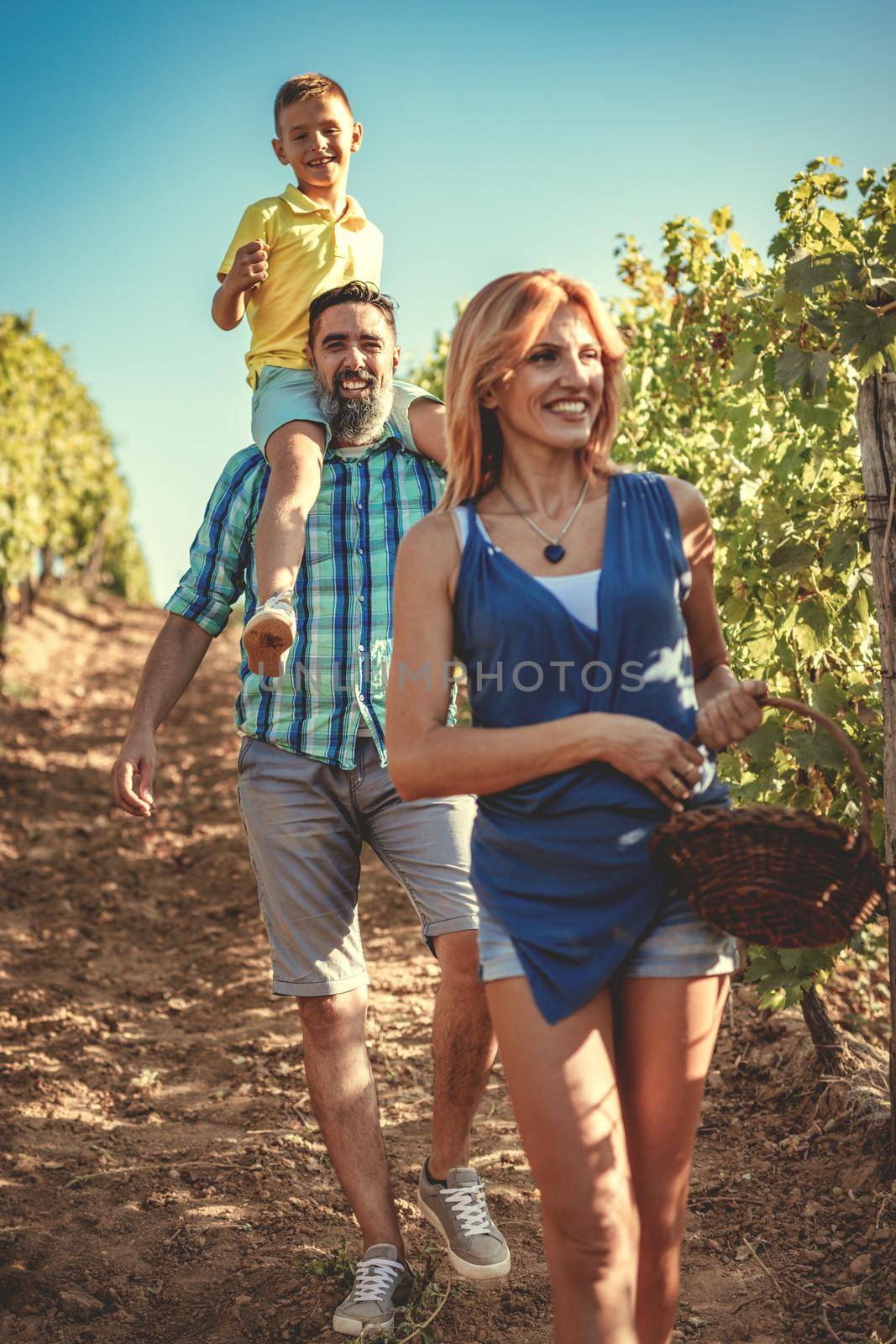 Beautiful young smiling family of four having fun at a vineyard.