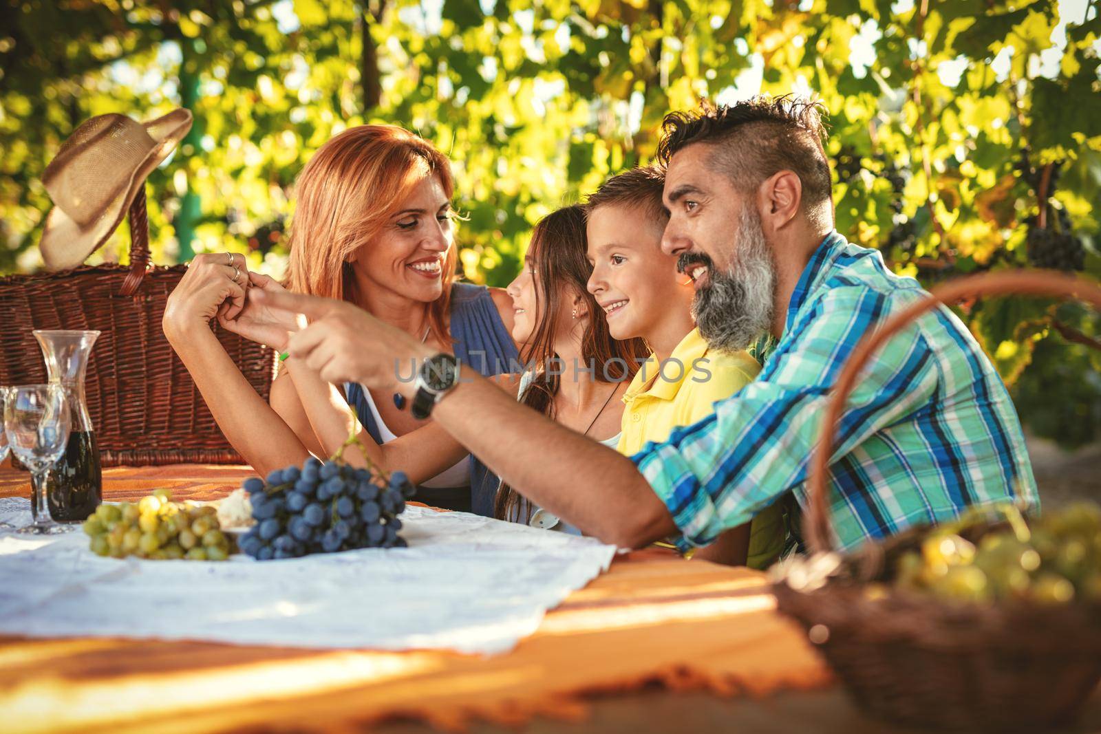 Beautiful young smiling family of four having picnic at a vineyard.