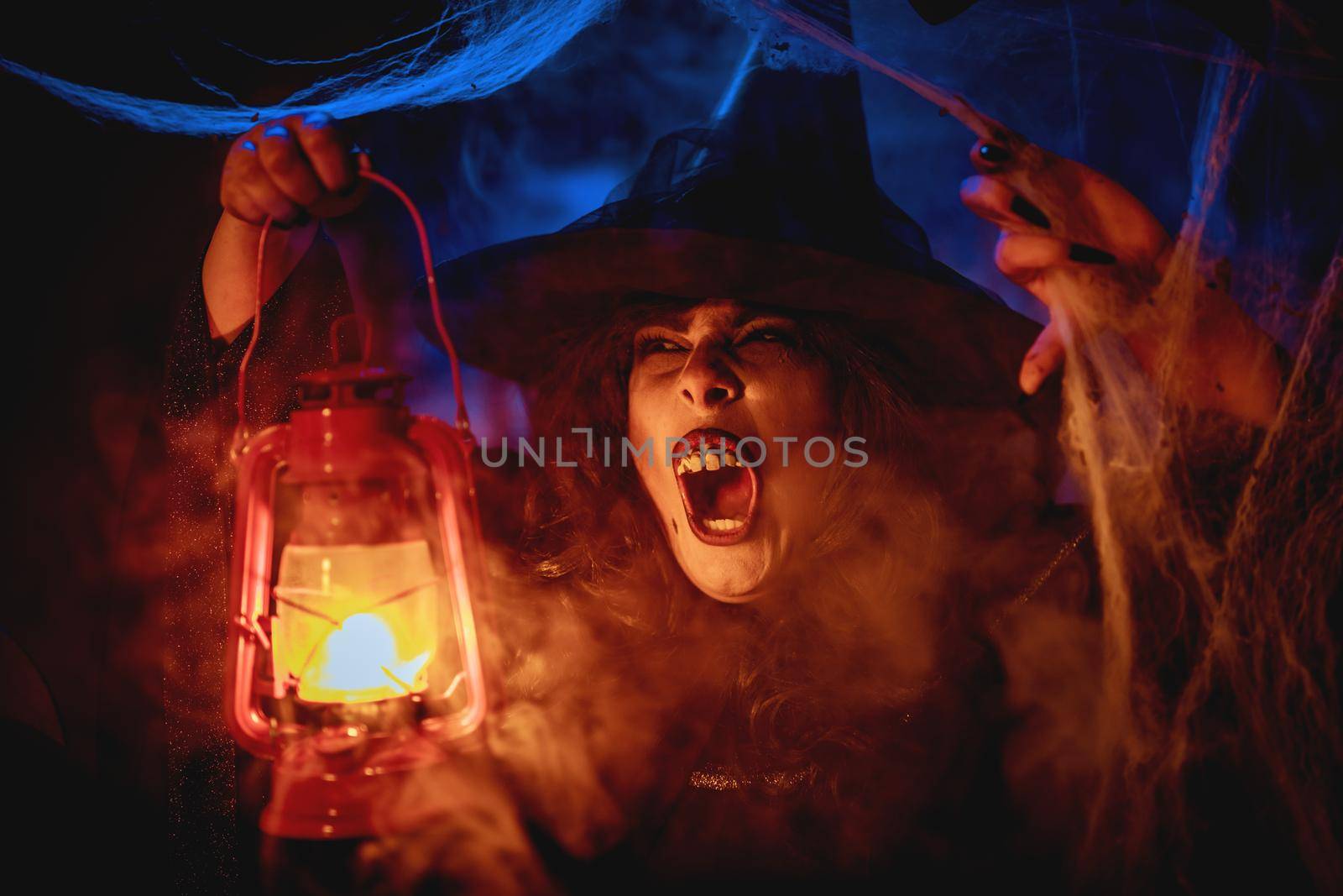 Witch With Lighted Lantern In Magic Fog by MilanMarkovic78