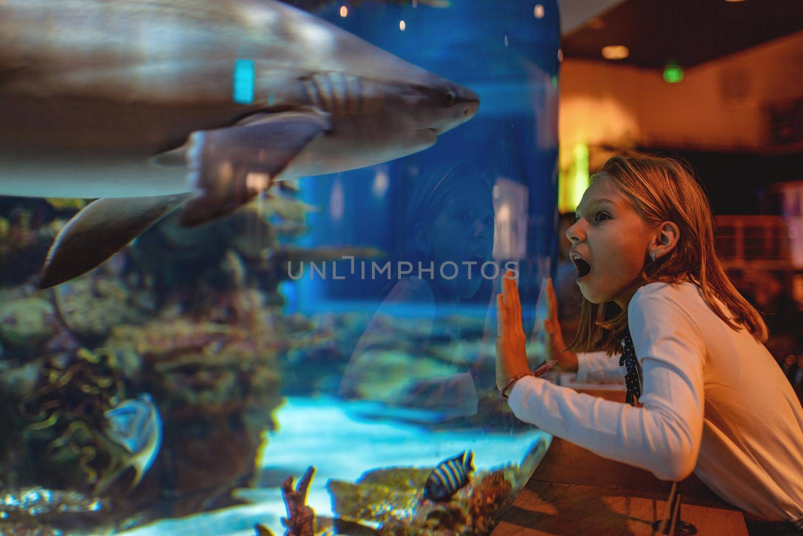 Young girl standing outstretched against aquarium glass fascinated by the shark.