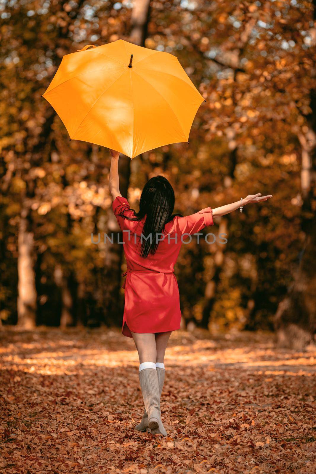 Young beautiful girl in red dress going alone under yellow umbrella in the park in golden autumn. Rear view.