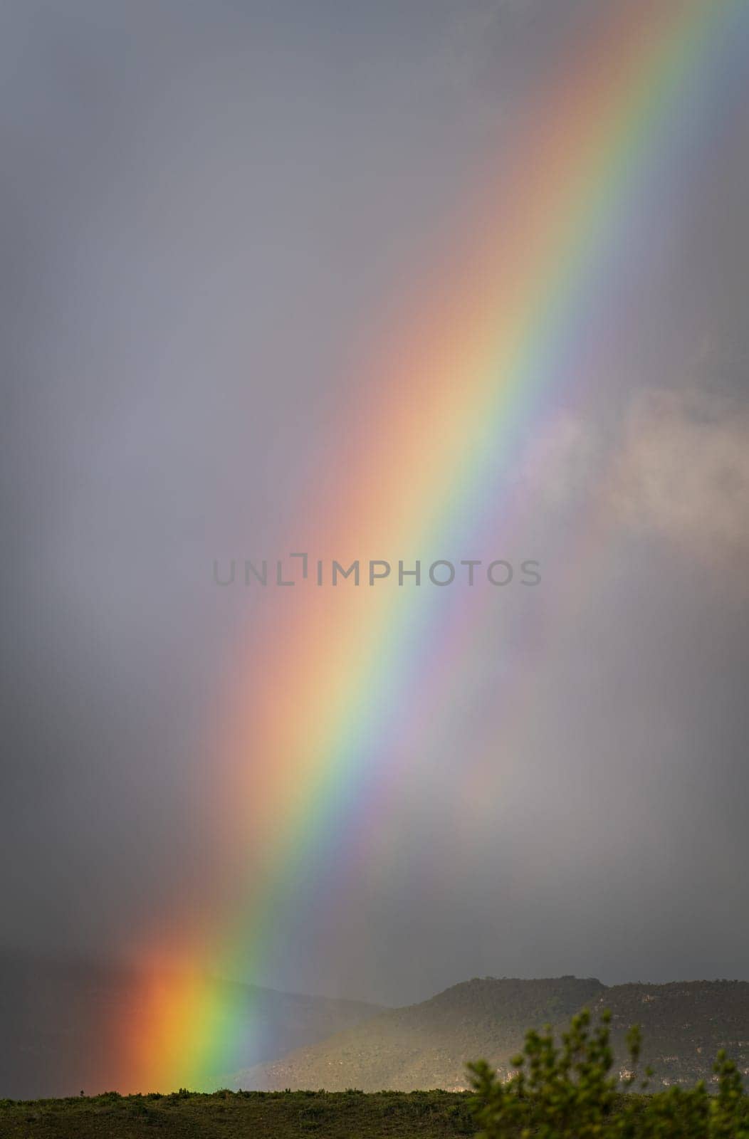 A bright rainbow emerges against a stormy horizon, signaling incoming rain. Space available for text.