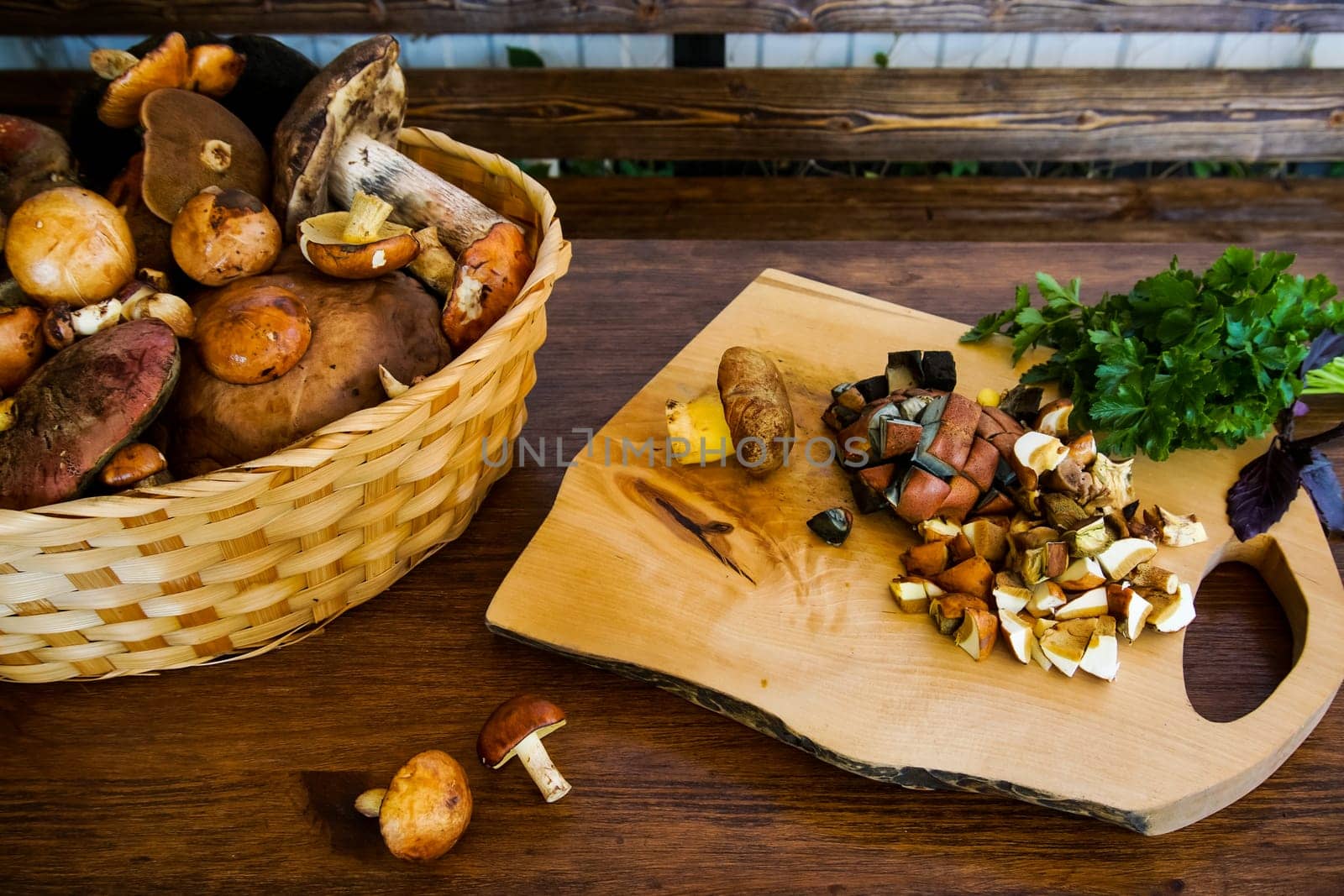 preparation of forest edible mushrooms. There is a basket of mushrooms on the table, there is a cutting board and there are fresh greens