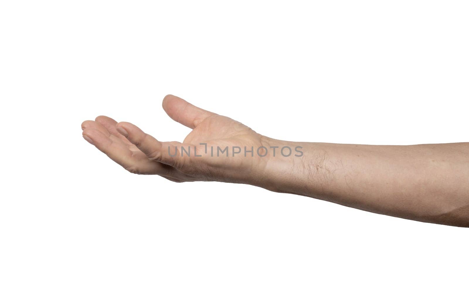 a male hand with the palm up on a transparent background