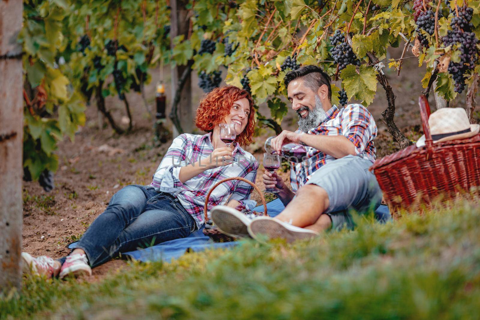 Beautiful happy smiling couple are having a picnic in a vineyard and toasting with wine for successful harvest.