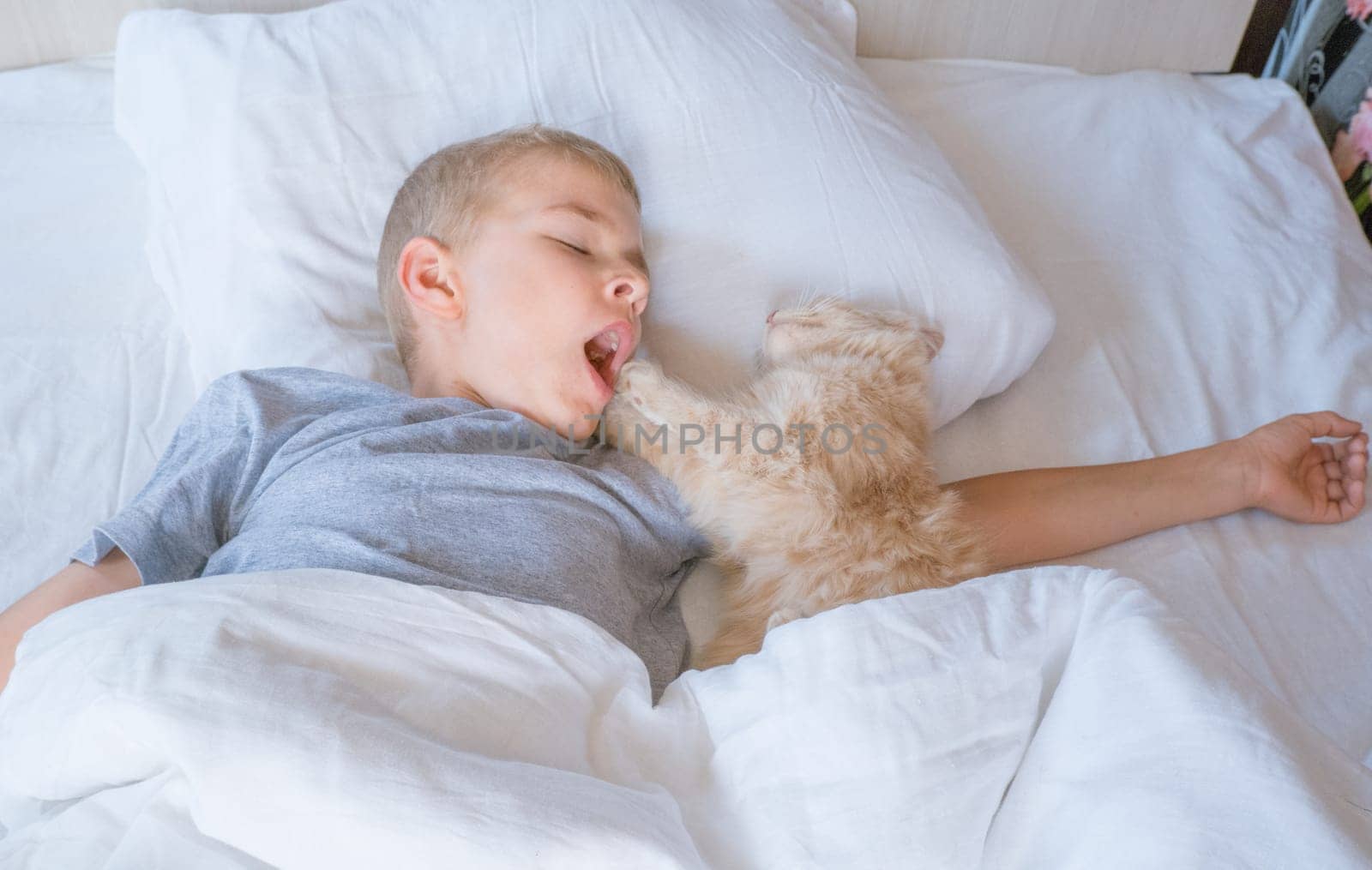 the boy falls asleep and hugs his ginger cat, who sleeps with him under the covers. children and pets. the cat sleeps with the baby. the child is getting ready for bed