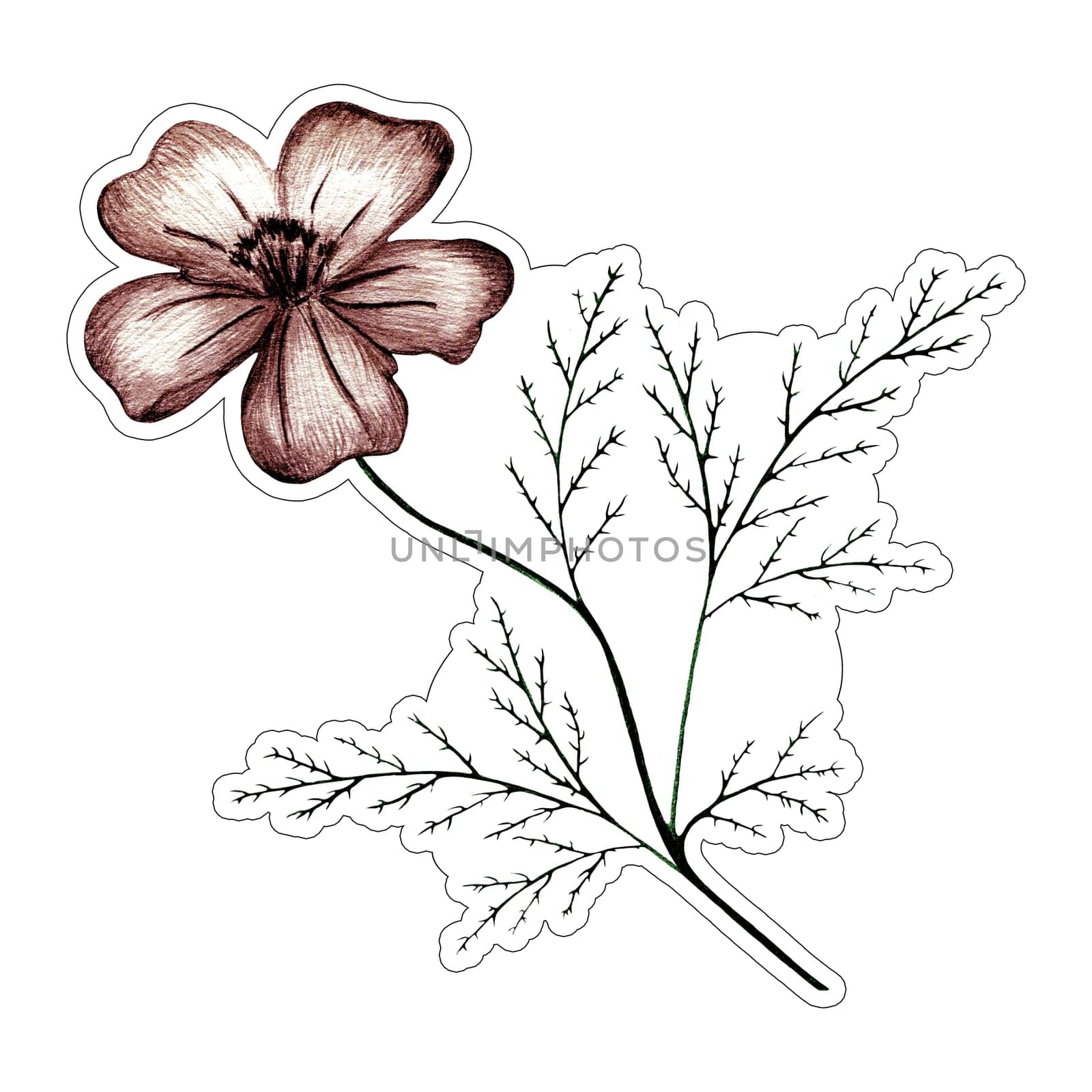 Marigold Flower with Leaves Sticker Illustration. Hand Drawn Isolated Colorful Floral Sticker.