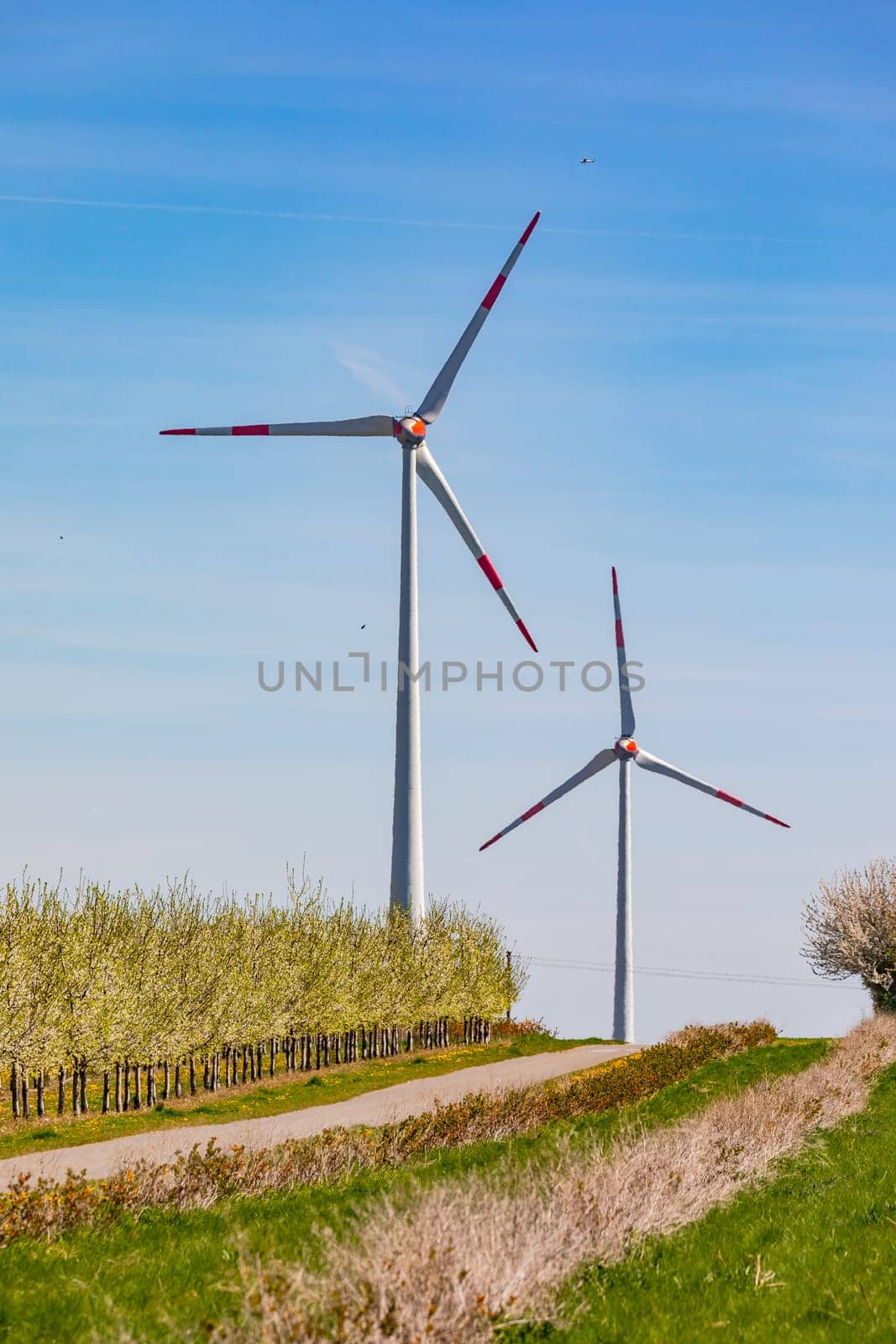 The huge towers of two wind turbines for electricity generation behind bushes and young fruit trees in Germany