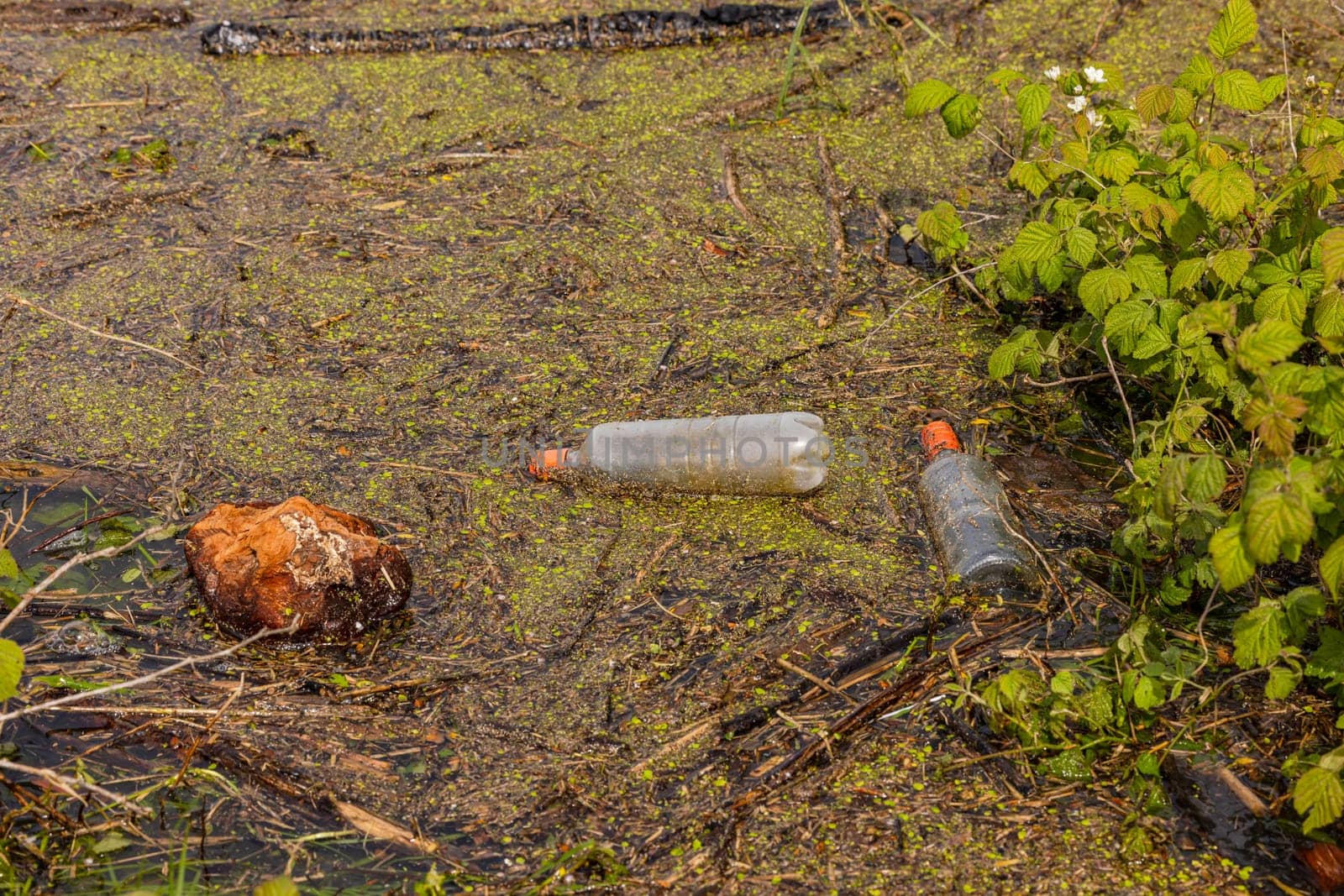 A glass bottle and a plastic bottle pollute as garbage the shore of a body of water in nature