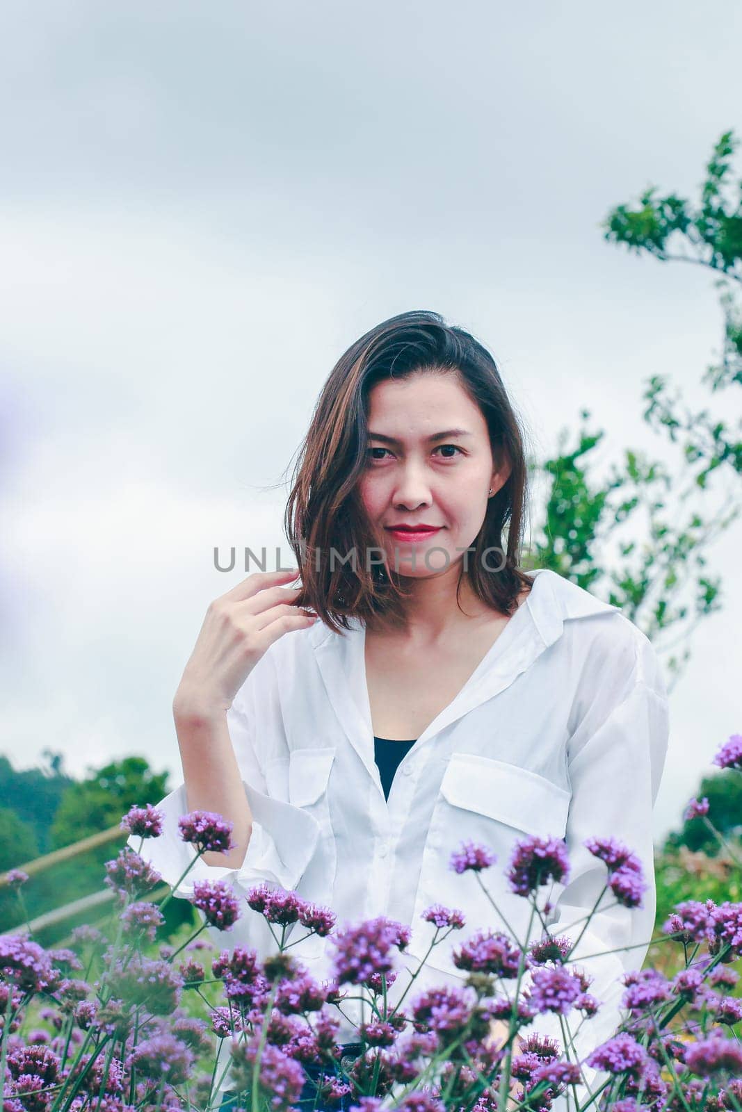 Women in the Verbena field are blooming and beautiful in the rainy season.