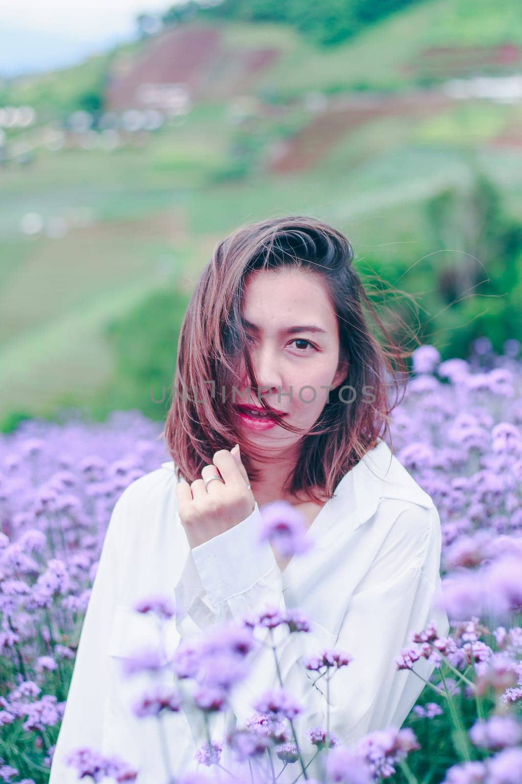 Women in the Verbena field are blooming and beautiful in the rainy season.